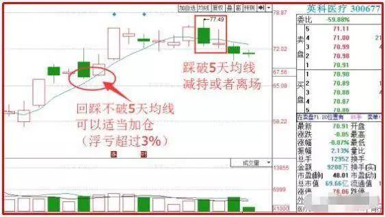 2043年澳门天天开好彩精准预测，科学理性与娱乐的平衡2024澳门天天开好彩精准24码什么生肖最好色