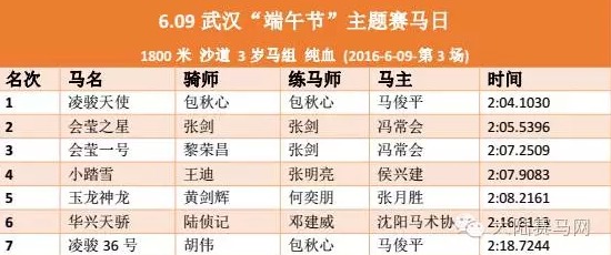 2048年澳门特马今晚开奖，一场数字与概率的奇妙盛宴2024澳门特马今晚开奖结果出来了