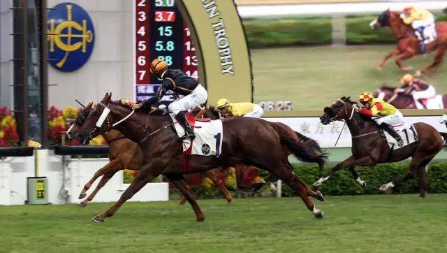2019年马会全年资料回顾与总结二0一九年马会全年资料1