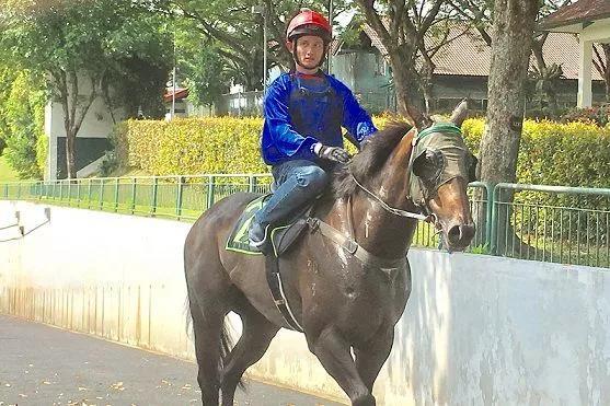 2019年香港马会资料大全，赛驹风云，尽在其中香港2021年马会资料大全