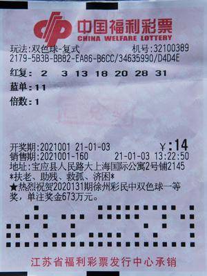 澳门天天开彩票，2046年走势图与中奖策略解析2024澳门天天开彩开奖结果