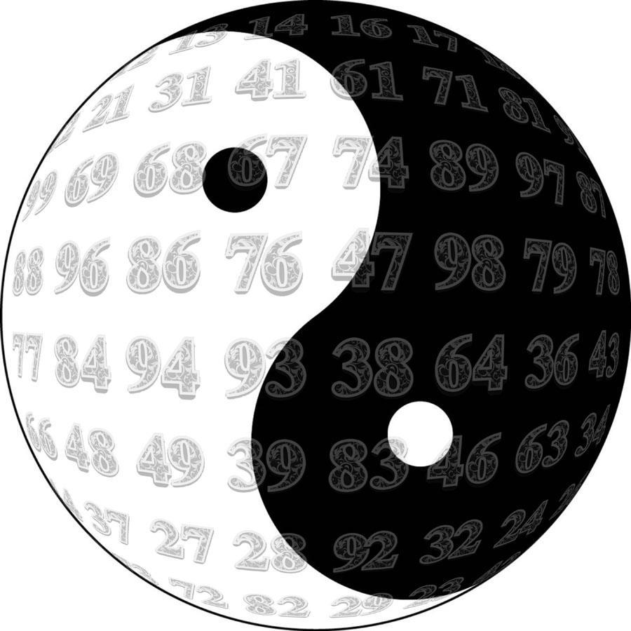 管家婆一码与白蛇图坛，神秘而迷人的数字世界