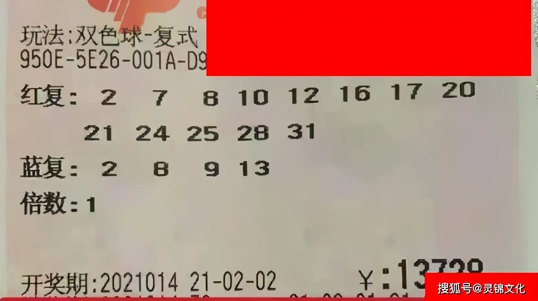 38期香港码开奖结果，揭秘数字背后的幸运与期待38期香港码开奖结果是什么