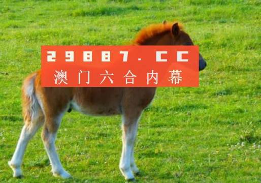 探秘香港马会开奖结果直播，一场精彩绝伦的赛场盛宴香港马 会开奖结果新闻