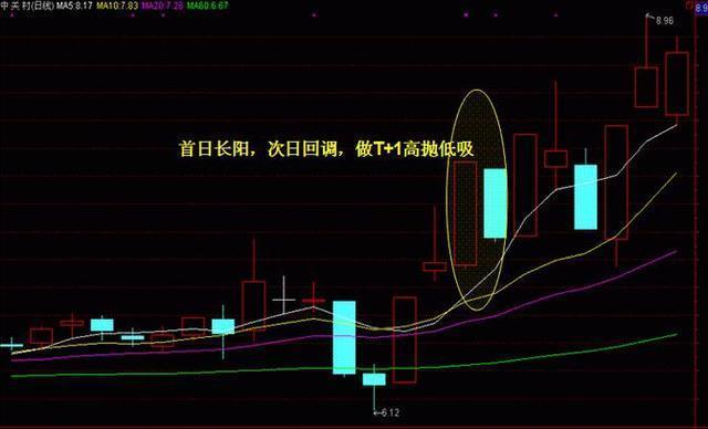 今日必看，揭秘四不像图的神秘面纱今天必中四不像图今期