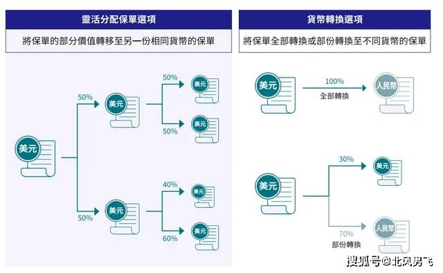 揭秘香港今期开奖结果资料，全面解析与深度分析香港今期开奖结果资料图片香港迷雨马报