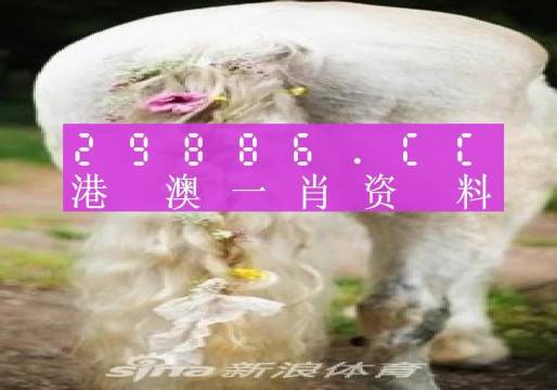 澳门管家婆三肖10%预测，24年新机遇与挑战2024年澳门管家婆三肖100%四不像图