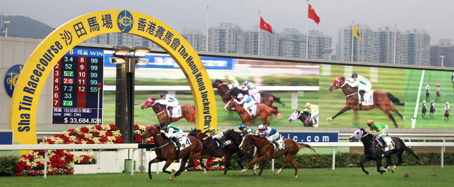 2019香港马会资料大全免费，探索赛马的魅力与文化香港2021年马会资料大全