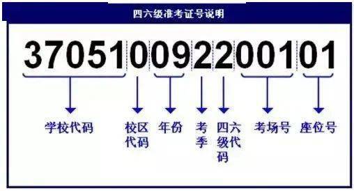 2046，新澳今晚开奖号码139—数字背后的幸运与期待2024新澳今晚开奖号码139上期澳门天什么