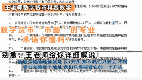 2O34年澳门开奖记录，透视数字背后的幸运与机遇2O24年澳门开奖记录对牛弹琴打一肖