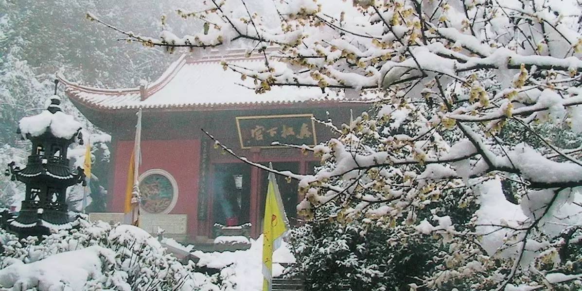 黄大仙精准资料