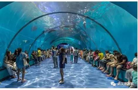 246天天免费资料大全，打造知识海洋的无限可能246天天免费资料大全优势