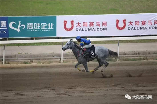 探索正版马会免费资料大全，解锁赛马的智慧与乐趣正版马会免费资料大全一