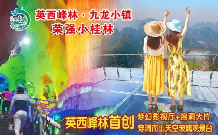 探索新奥门特，免费资料大全与火凤凰的传奇2021奥门特料码特天天开奖