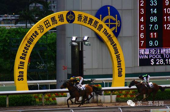 探索香港马会2019-正版料大全，赛马的智慧与激情香港正版马会资料免费大全