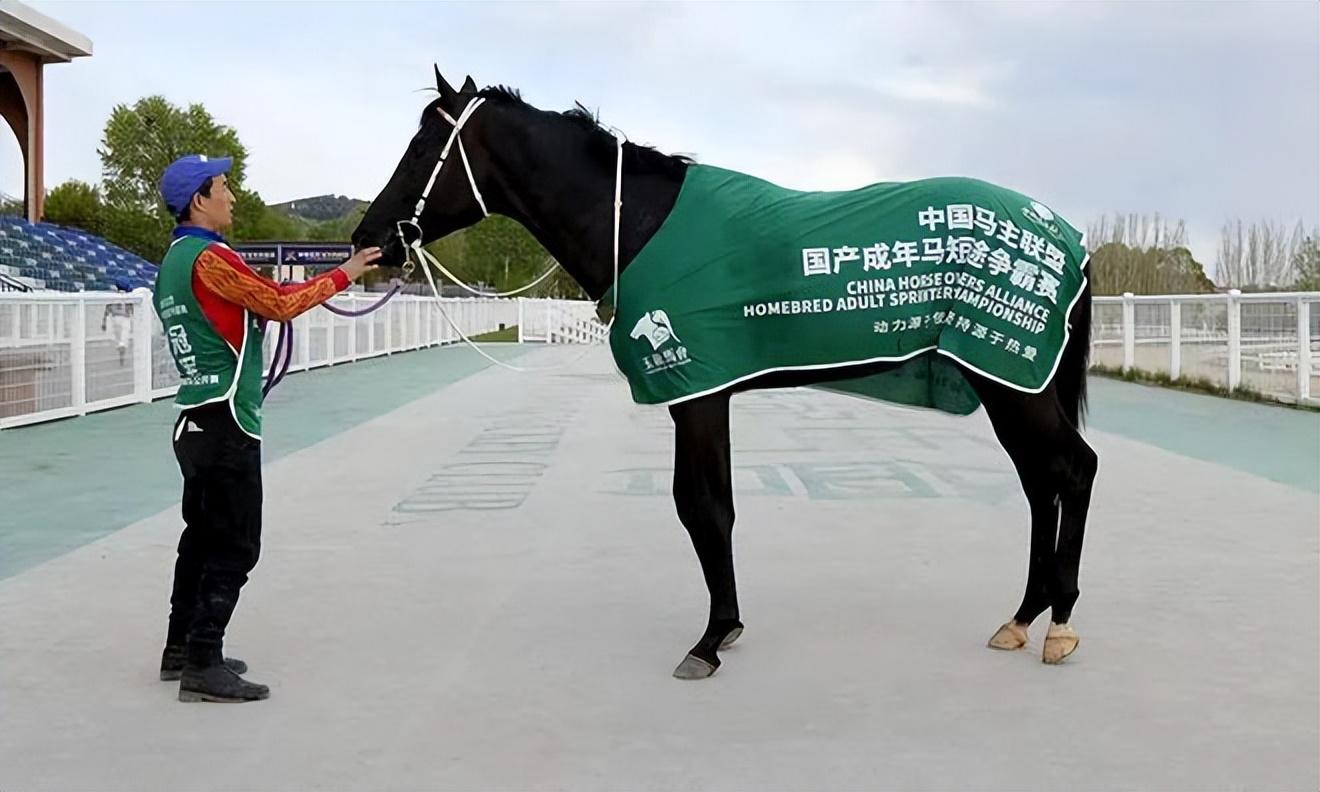 赛场风云