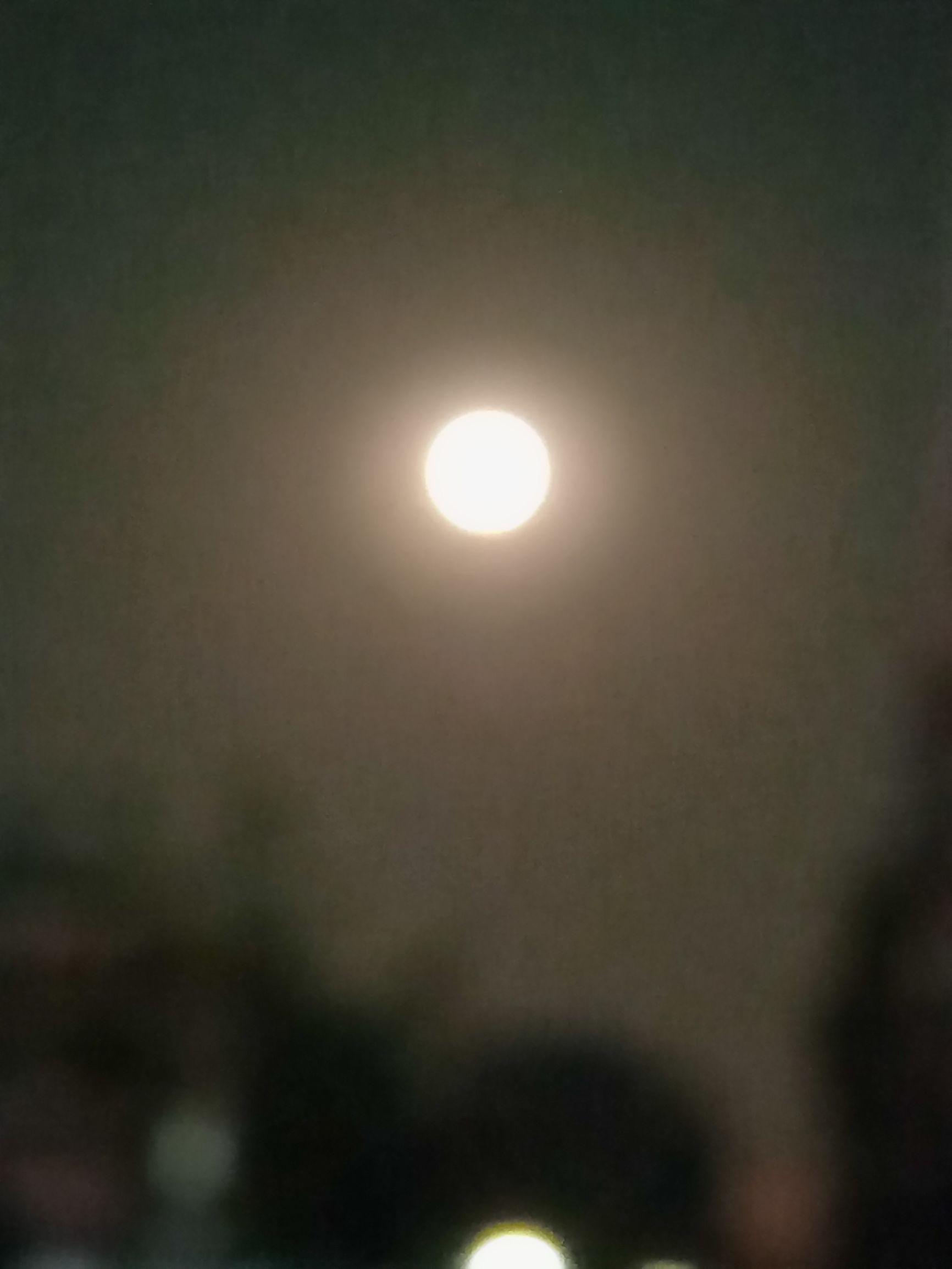 蓝月亮全年资料免费大全，解锁生活小窍门与健康指南蓝月亮免费大全资料大全2019