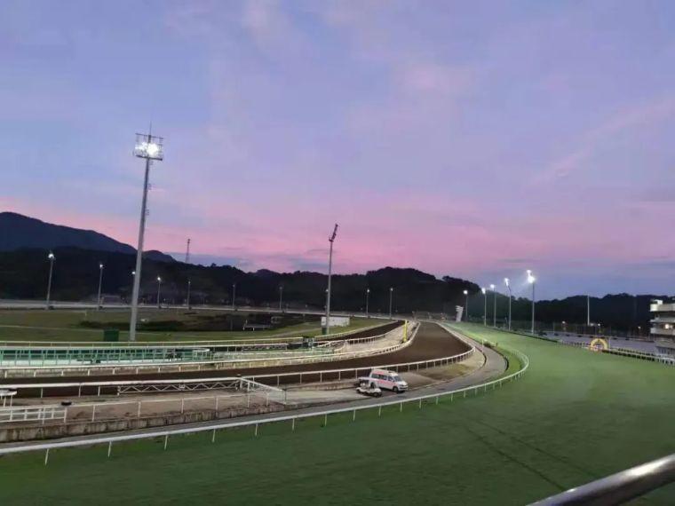 探索香港正版马会资料，文化、历史与现代科技的融合2021年正版马会香港资料大全一