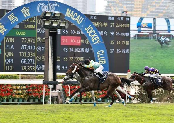 2019年香港马会开奖记录与结果分析2019年香港码开奖记录