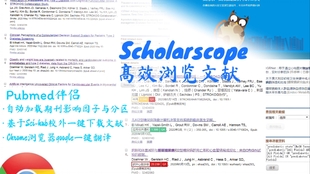 澳门正版管家婆资料大全，揭秘与警示的双重解读澳门管家婆资枓大全2020