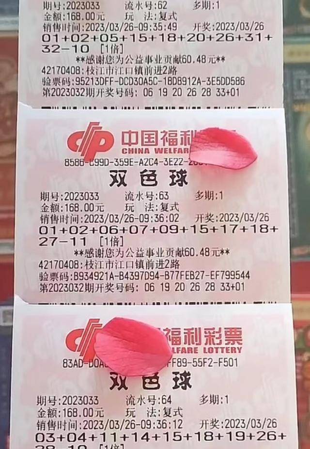 2035年，未来管家婆的智慧生活蓝图管家婆三肖中特,期期准一点红