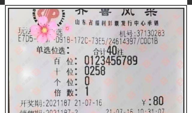 今日3D试机号揭秘,金码与彩民的幸运邂遇3d试机号今天试机号和金码