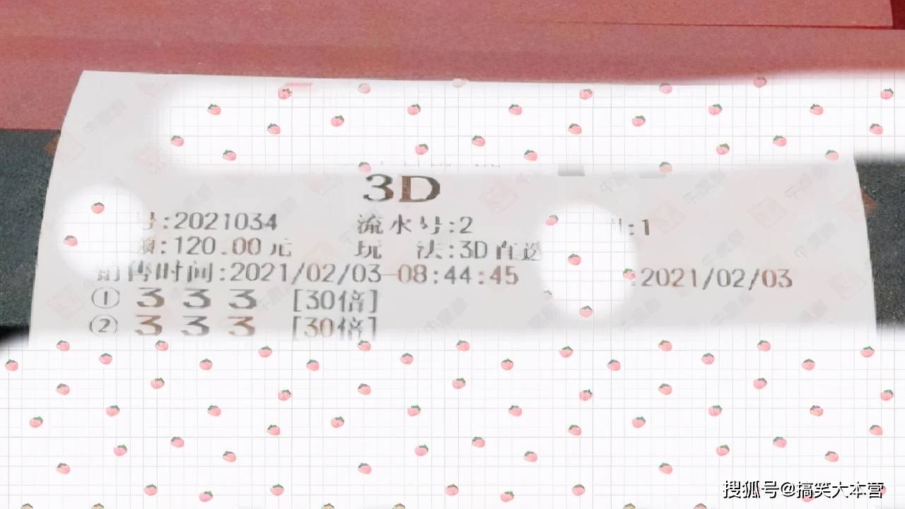 公司简介 第35页