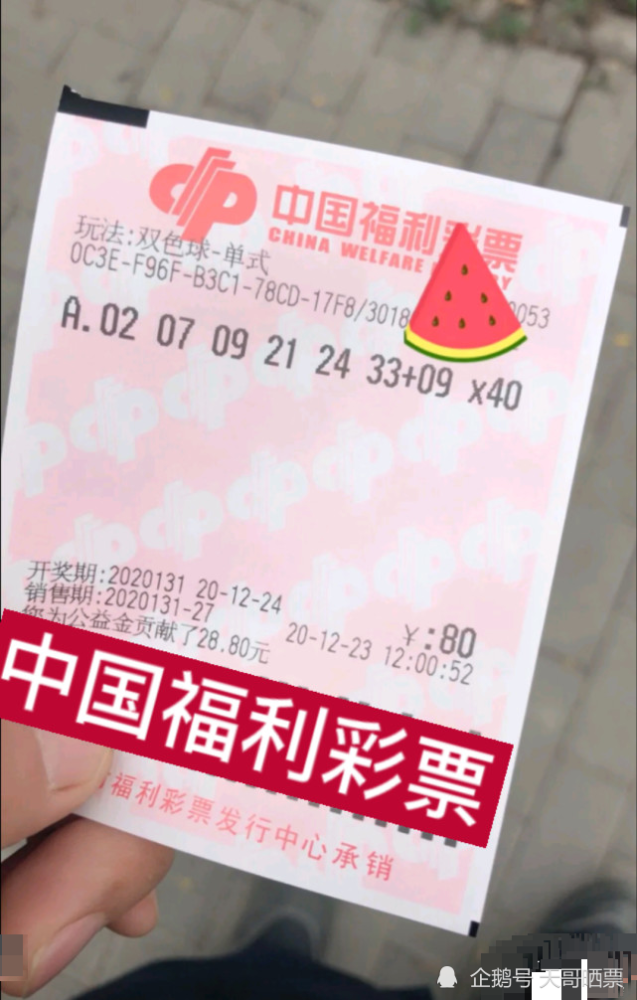 8031期双色球开奖结果揭晓，梦想与幸运的碰撞双色球80期开奖号码2020