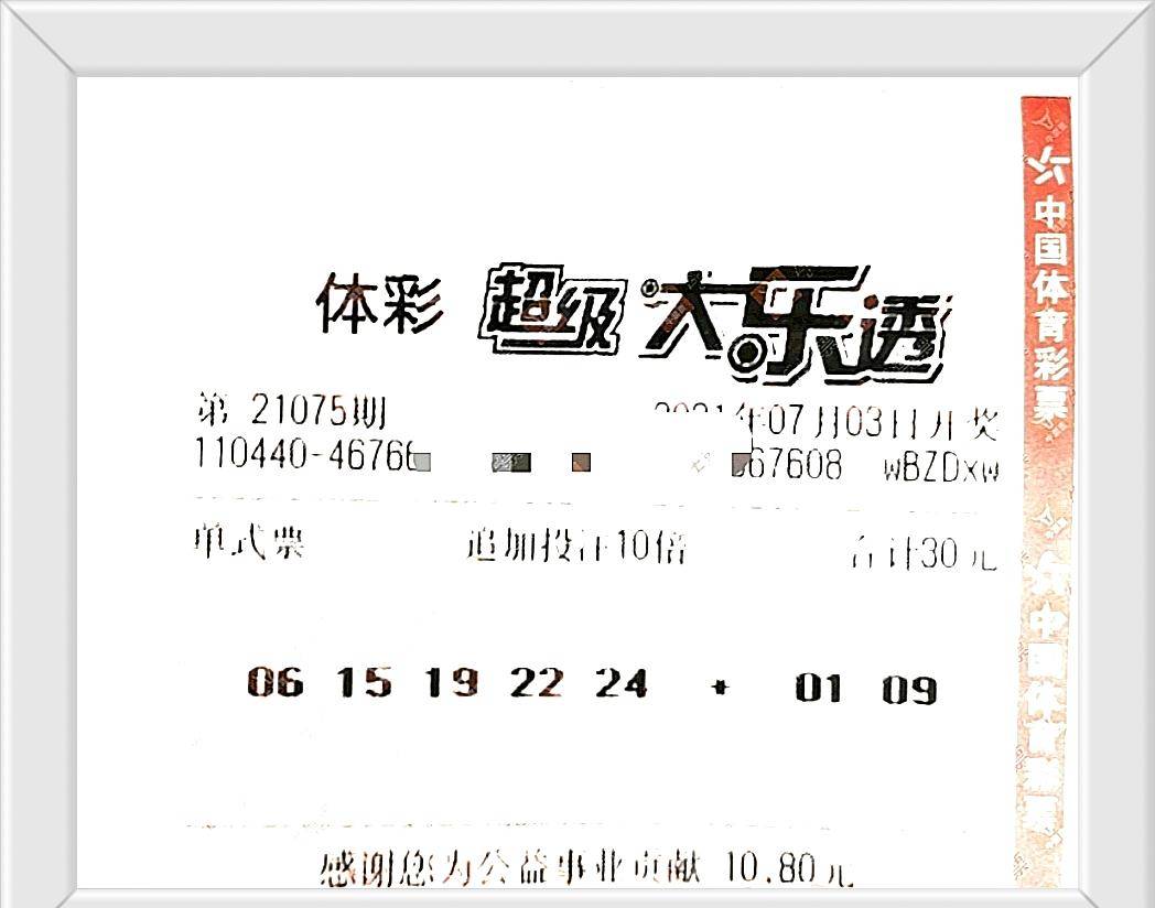 公司简介 第29页