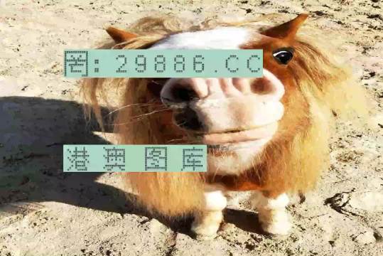 探索双色球，最新版基本走势图带连线—新浪视角下的数字游戏双色球走势图(带连线)新浪