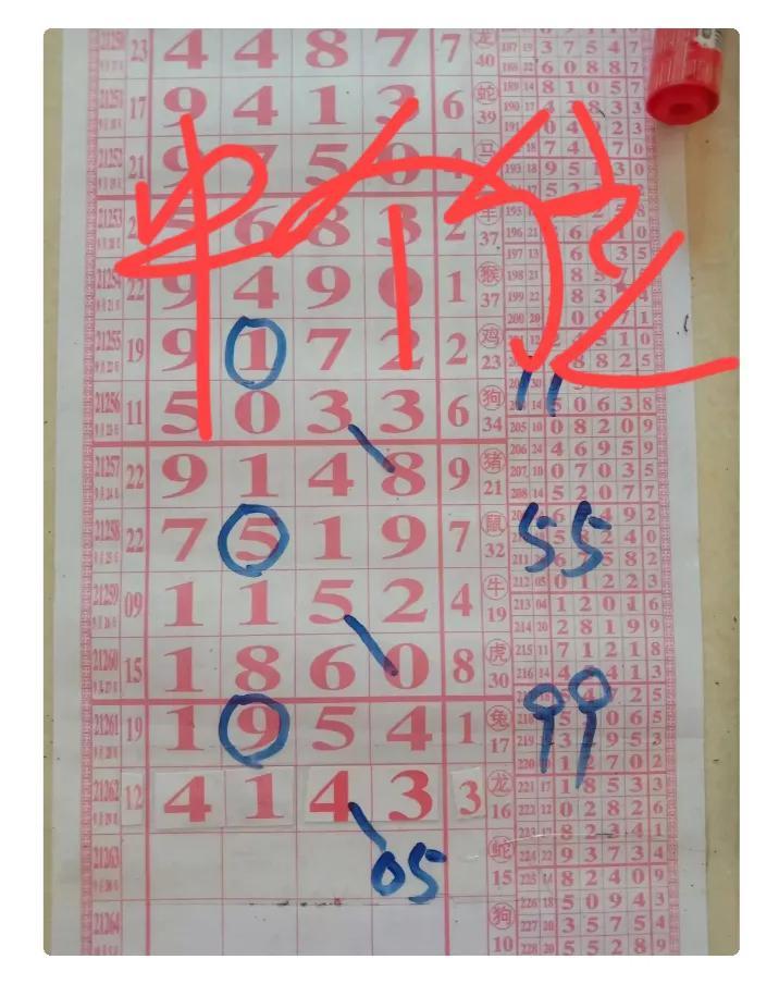 今日排列五开奖，揭秘数字背后的幸运与期待今天排列五开奖奖号是多少