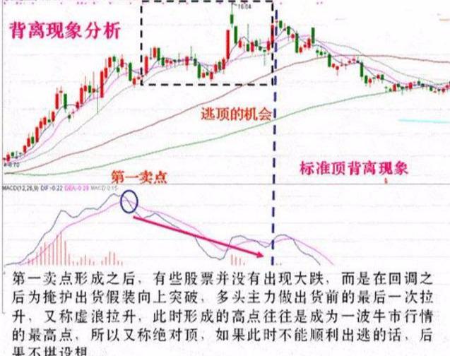 排列五开奖号码最新揭秘，数字背后的奥秘与趋势分析排列五开奖号码最新 结果3D