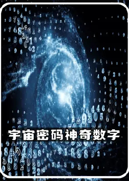 探索数字背后的秘密，揭秘www.2935068741com的奇妙之旅