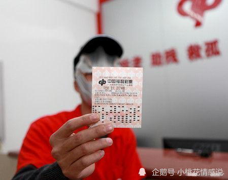 天下彩与香港免费资料，揭开彩票的神秘面纱天下彩与香港免费资料大全最新版本