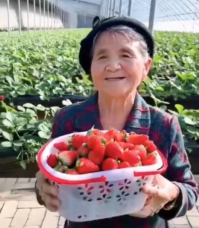 天下水果奶奶，免费资料背后的甜蜜故事天下水果奶奶免费资料欢迎你