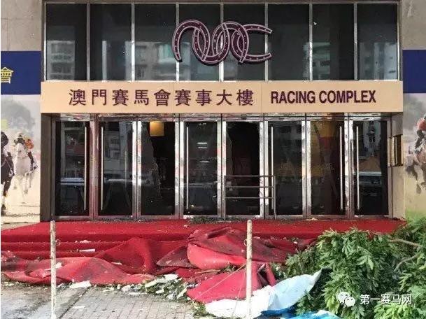 蓝月亮马会精选资料大全，解锁赛马的智慧与魅力蓝月亮马会精选资料大全期准优势
