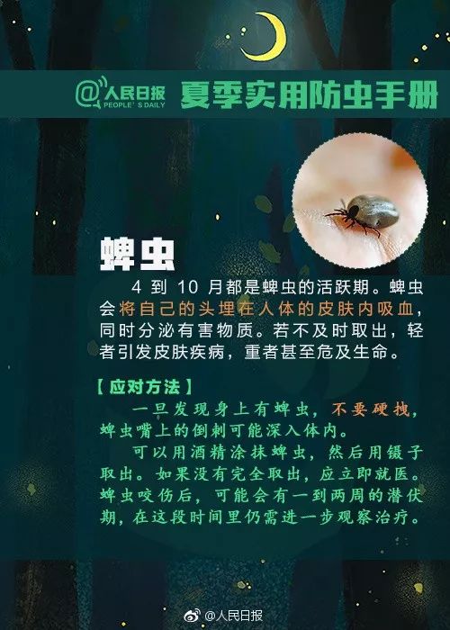 2036澳门全年资料免费大全，探索澳门的多元魅力与实用指南2023澳门全年资料免费大全诸葛亮藏宝图解析