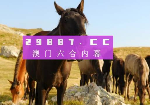 2035年澳门管家婆大全，从免费到专业，一站式服务指南2023澳门管家婆大全免费2024