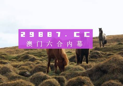 2031年澳门开奖结果揭晓，数字背后的故事与期待2022年澳门开奖结果出来前世今生精准一肖一码