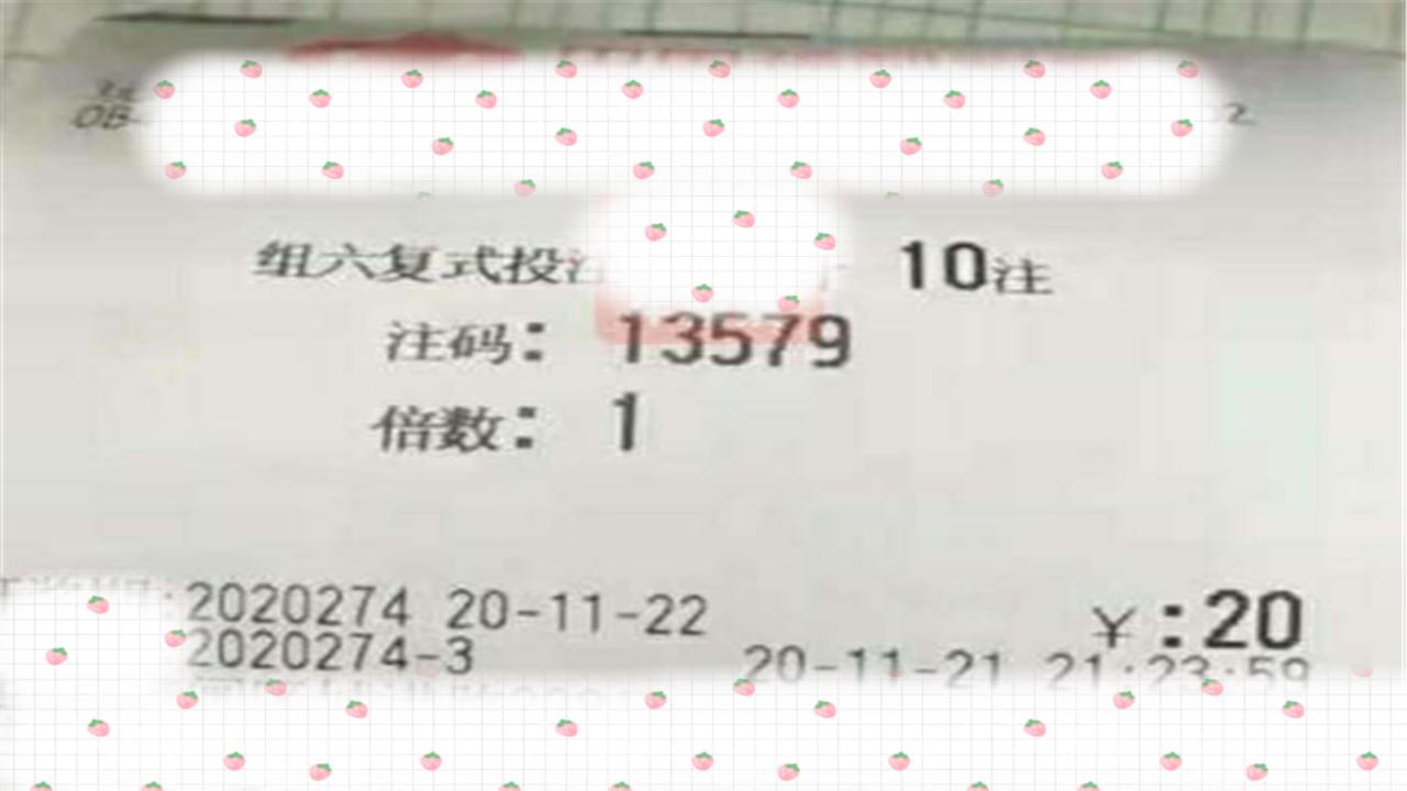 今晚香港开奖结果，揭秘彩票背后的故事与期待香港今晚开奖结果查询结果汇总