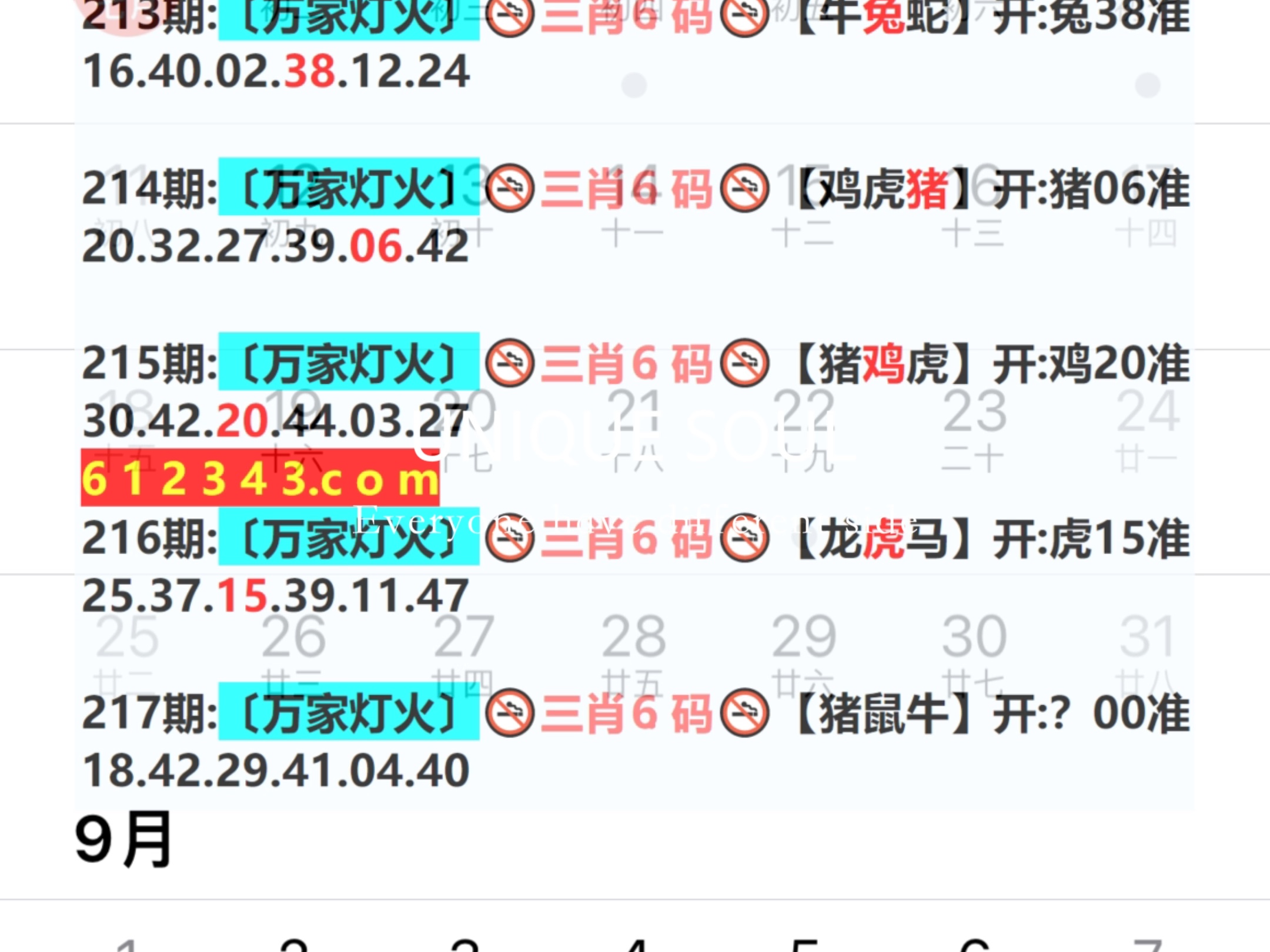 蓝月亮四肖八码