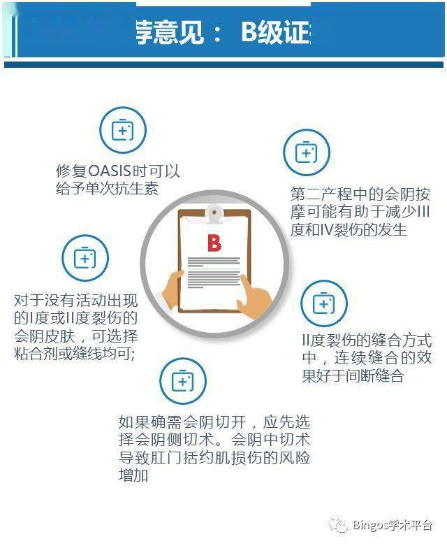 2019年正版马会资料大全，全面解析与使用指南2020正版马会资料免费大全
