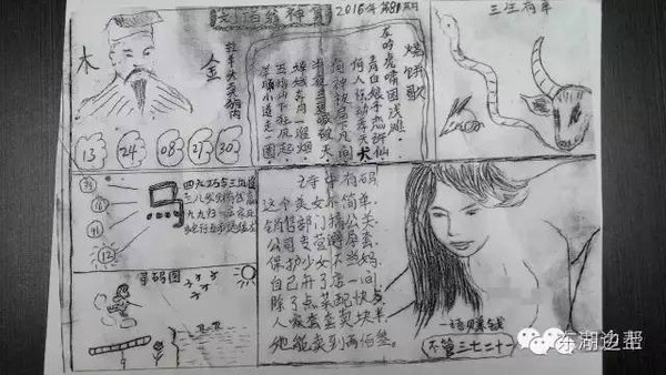 2046年，管家婆的马资料与未来趋势探索2020年管家婆马报