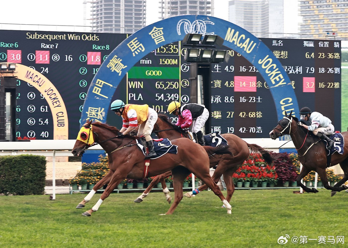 2019马会正版资料，深度解析与未来展望2020年正版马会精选资料