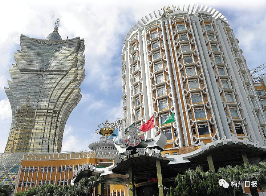 澳门新貌，探寻最精准的龙门之旅新澳门最精准正最精准龙门蚕