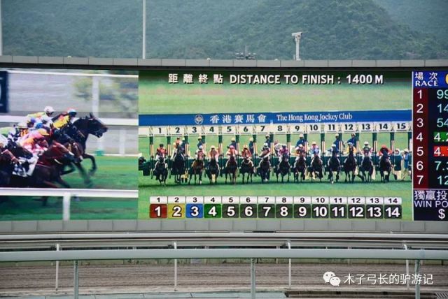 探索香港马会免费资料大全，解锁赛马的奥秘与乐趣香港免费马会全年资料大全