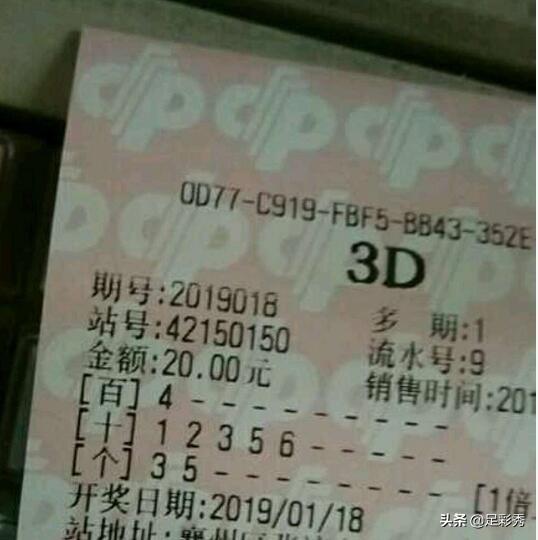 6合开奖结果，揭秘彩票背后的故事与理性思考6合开奖结果查询最新版