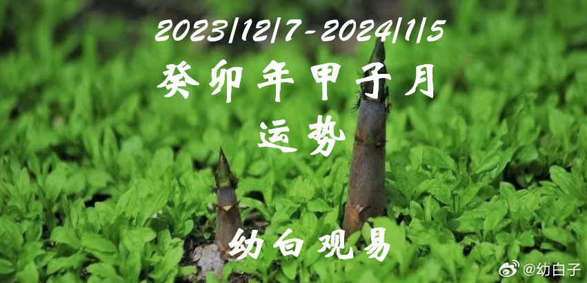 2036年，管家婆的智慧之选—揭秘未来彩票趋势与理性投注管家婆一三肖必中特