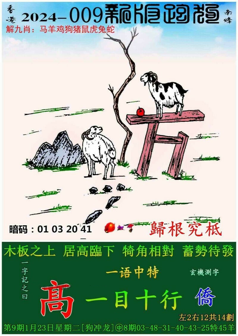 探索新跑狗高清彩图，一场视觉与文化的盛宴新跑狗图高清下载地址