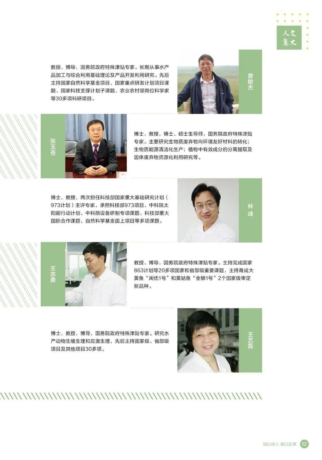 2036澳门免费资料大全，下载与使用指南2023澳门免费资料大全下载安装